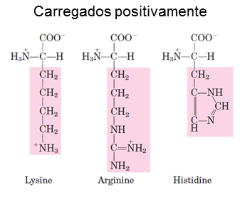 Classificação dos animoácidos De acordo com a cadeia lateral (R) Classificação