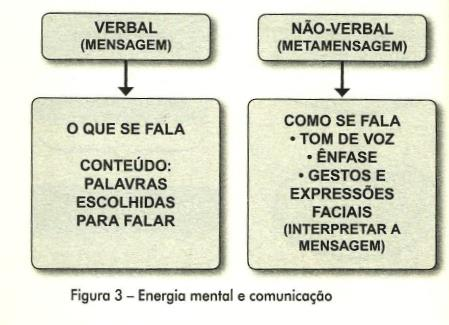 A ENERGIA MENTAL E A COMUNICAÇÃO Literalmente, METAMENSAGEM significa além da MENSAGEM, aquilo que transcende a mensagem. A METAMENSAGEM é como se fala.