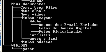 3.Gerenciar e manter os sistemas de arquivos O SO permite que o usuário gerenciar os arquivos