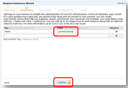 Dê um nome amigável ao seu novo web server como Lab Web Servers e clique Continue.