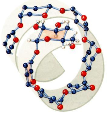 Metabolismo dos DOS CARBOIDRATOS São compostos à base de C, H, O distribuídos em abundância nos tecidos animais e vegetais.