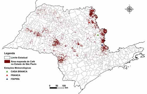 as regiões produtoras de café conilon, mas as maiores perdas foram em lavouras não irrigadas, com significativa diferenciação entre as regiões.