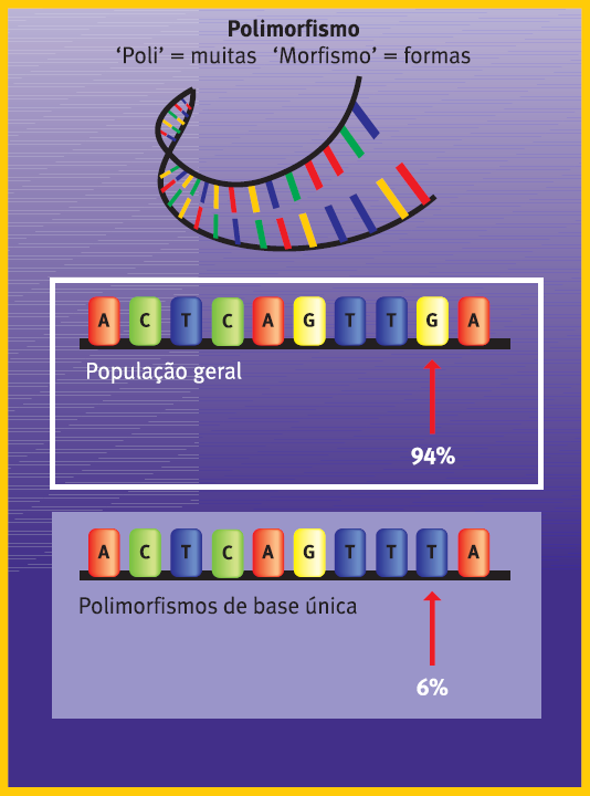 VARIABILIDADE GENÉTICA SNP: Single