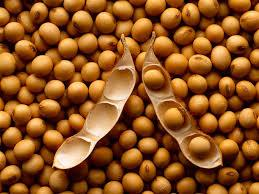 Alimentos que contem ω-3 (ácido linolênico) também ocorre em alguns cereais e