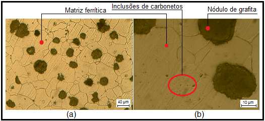 grafita com morfologia irregular. Figura 5.2. Corpo de prova bruto de fusão,sem ataque químico. Ampliação de 50 X (a), 100 X (b) e 200 X (c). 5.1.2 Recozido e Sem Tratamento A Figura 5.