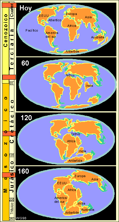 Evolução da