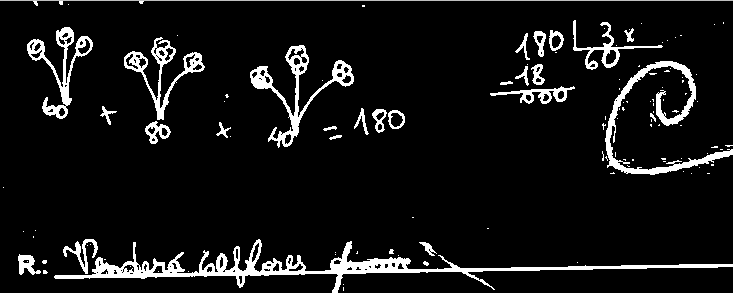 Na imagem 22 é mais clara a estratégia usada, explicando claramente quer o total de flores existentes quer o cálculo da terça parte.