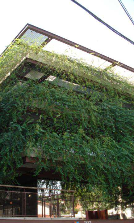 Sustentabilidade de Edifícios Fachada envidraçada protegida por árvores