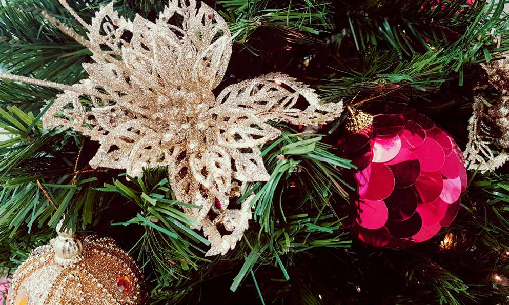 É TEMPO DE CELEBRAR A CHEGADA DE UM NOVO CICLO Um feliz natal e um ano novo cheio de paz O ano de 2016 está chegando ao fim.