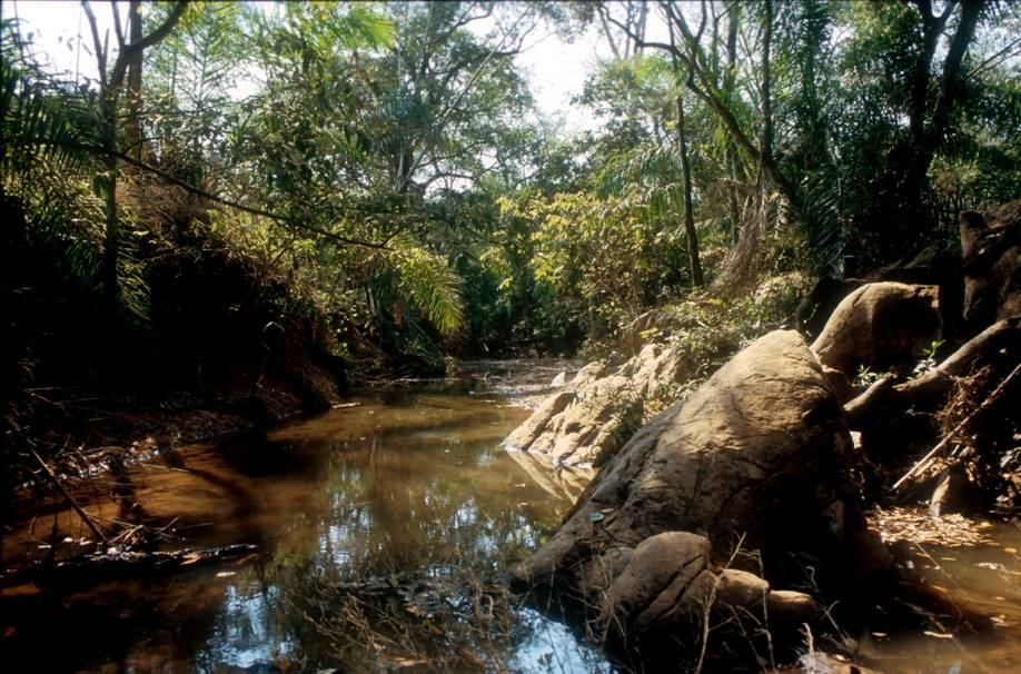 25 FOTO: Ricardo M C. Castro. FIGURA 2: Córrego Taquaruçu, localizado no Estado de Mato Grosso do Sul, no limite dos municípios de Bodoquena e Bonito.