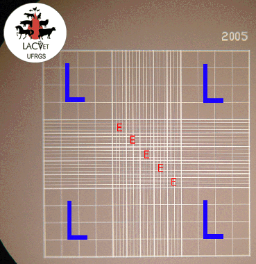 8 um ângulo de 45º, fazendo o líquido penetrar por capilaridade entre a lâmina e a lamínula.