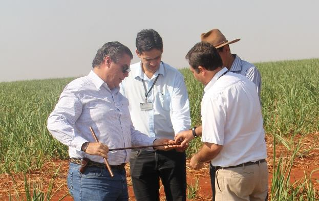 ASSISTÊNCIA AGRONÔMICA E COMERCIAL NAS PROPRIEDADES 74 especialistas de culturas, mecanização agrícola, veterinária e agricultura