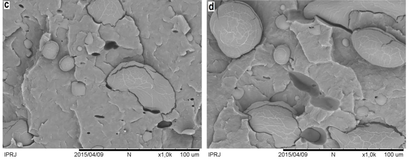 Figura 1: Resistência ao impacto Izod do polipropileno e das misturas PP/TPS obtidas por extrusão Microscopia eletrônica de varredura A análise da morfologia e da interação entre as fases de