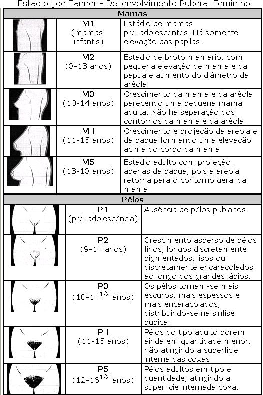 Em M2 o broto mamario cresce, mas somente embaixo da areola. Essa e a telarca, e o começo da puberdade. Isto ja da ideia que esta menina vai menstruar mais ou menos em dois anos.