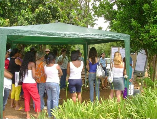 FGURAS. Ponto de corte e incorporação do coquetel de adubos verdes. FGURAS 2. Plantio das mudas produzidas em bandejas, oriunda de viveiro credenciado e colocação de mulching. FGURA 3.