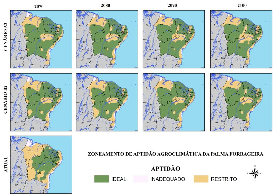 Resultados e Discussão Poderá haver um incremento nas áreas de produção ótimas ao desenvolvimento da palma forrageira na área de estudo quando se comparam os anos estudados (2070, 2080, 2090 e 2100)