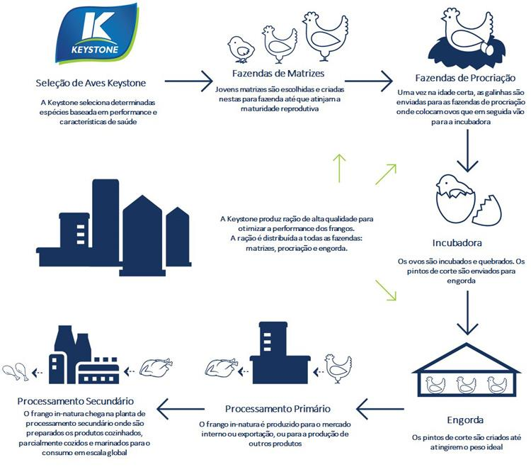 7.3 - Informações sobre produtos e serviços relativos aos segmentos operacionais Keystone Matéria-Prima As operações da Keystone nos EUA são parcialmente integradas, enquanto na Ásia são