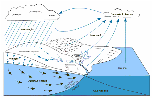 Fonte: N. Meinardus (1928) A figura 1 representa um esquema do ciclo hidrológico. Figura 1: O ciclo da água Fonte: Heat, R. Hidrologia Básica de Águas Subterrâneas.