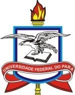 UNIVERSIDADE FEDERAL DO PARÁ INSTITUTO DE TECNOLOGIA PROGRAMA DE PÓS-GRADUAÇÃO EM ENGENHARIA INDUSTRIAL EDITAL nº 01/2017-PPGEI/ITEC/UFPA, 04 janeiro de 2017 Processo de Seleção do Programa de