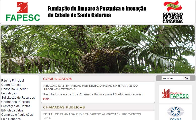 Fundação de Amparo à Pesquisa e Inovação do Estado