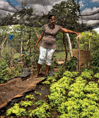 Convivência com o Semiárido Irene Santos de Jesus, de Serra Preta (BA), com sua casa em 2014 e reformada em 2016 com a renda da produção de alimentos.