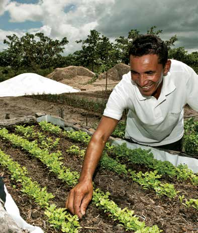 Acesso à água para produção de alimentos Tecnologias sociais que ampliam a possibilidade de produção de alimentos e a liberdade de permanecer na terra, mesmo diante dos desafios da seca 162 mil