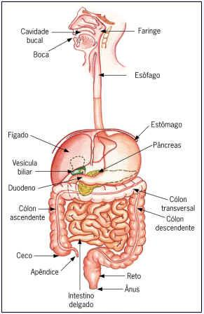 Sistema