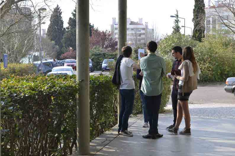 Licenciaturas - 11 - O 1.º ciclo da formação superior é um grau que pode ser atribuído em qualquer área do saber.