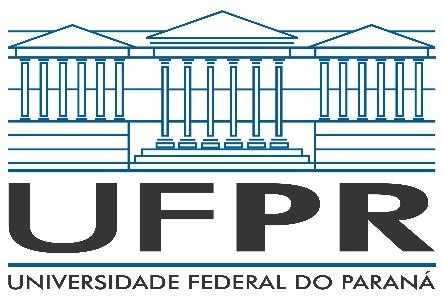 UNIVERSIDADE FEDERAL DO PARANÁ Setor de Educação Programa Institucional de Bolsas de Iniciação à Docência PIBID/UFPR Projeto Interdisciplinar Pedagogia e Matemática PLANO DE AULA Bruno Lopes Isabelly