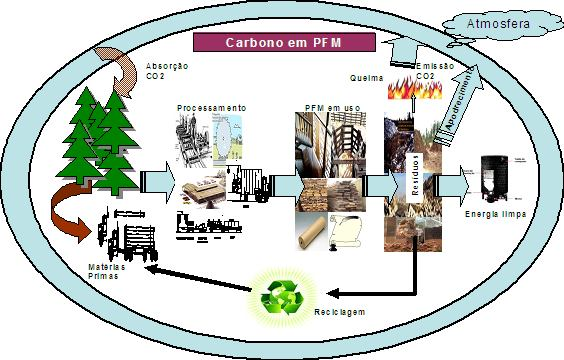 Produtos Florestais Madeireiros (PFM) Resultantes do Manejo Florestal Sustentável (plantações ou naturais) Reservatórios de carbono; Em todo o mundo, o estoque de carbono em produtos florestais está