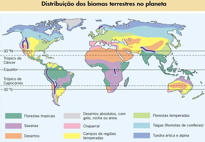 Os tipos de plantas e animais característicos de cada região são influenciados pelo tipo de solo e