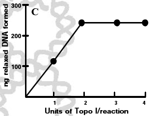 Topo I/II