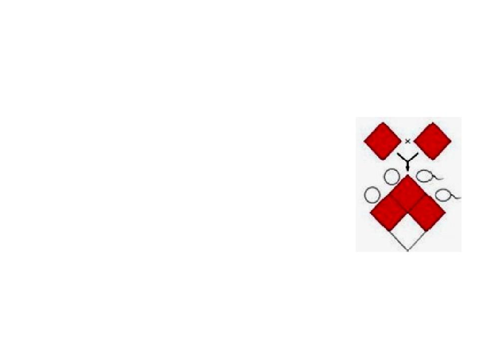 Xadrez Mendeliano Os cruzamentos costumam ser representados através de um diagrama com duas entradas designado xadrez mendeliano, quadro de cruzamento ou quadro de Punnett.
