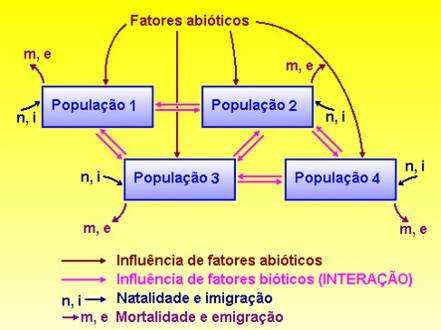 Introdução As populações interagem de várias v formas e não é possível