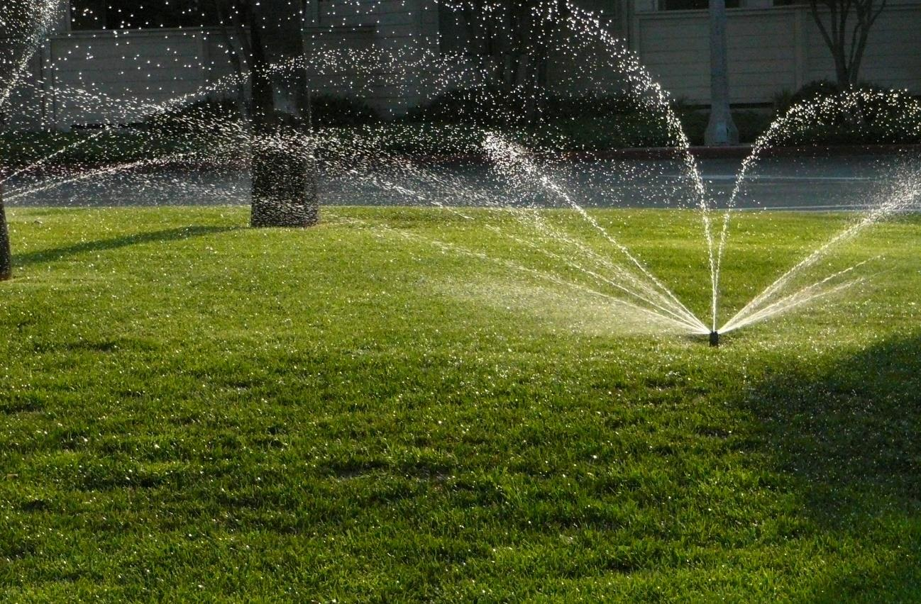 MANEIRAS DE ECONOMIZAR ÁGUA NA IRRIGAÇÃO: TÓPICO I: IRRIGAÇÃO PARA PAISAGISMO RESIDENCIAL PARTE II Continuando nossa parte de formas de economizar água de irrigação temos: 1.8.