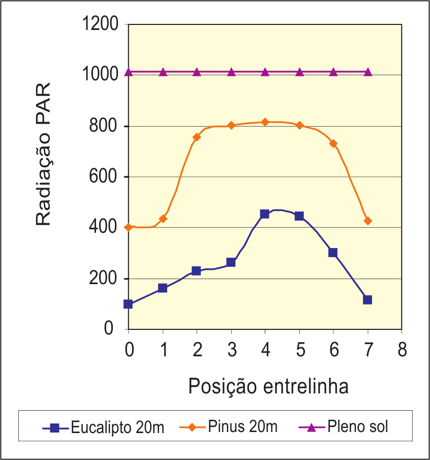 500 árvores por ha até os 5 anos de idade. No que se refere ao SSP, este arranjo e população parece ser mais adequada e capaz de permitir integração floresta-pecuária de mais longo prazo.