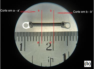 Figura 1. Mini molas de Ni-Ti M15. (a) Fotografia ao microscópio com destaque para o comprimento deformável e comprimento total da mesma.