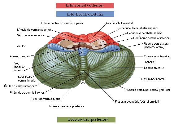 ESQUEMA DA