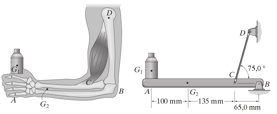 9. Determine as componentes horizontal e vertical da reação no pino A e a tração desenvolvida no cabo BC usado para sustentar a estrutura de aço. 10.