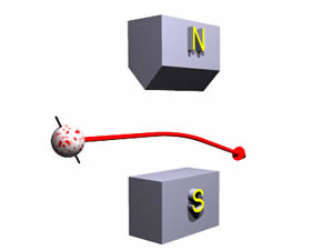 Experimento de Stern-Gerlach Bola carregada em