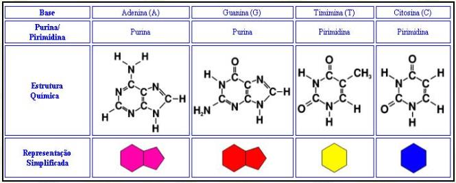 Estrutura Molecular dos Nucleotídeos: Os nucleotídeos são constituídos por 3 unidades: Bases Nitrogenadas: são compostos cíclicos contendo o nitrogênio,