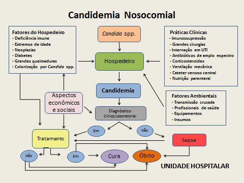 30 Figura 1: Modelo explicativo multicausal da candidemia nosocomial. Fonte: elaboração do autor, 2015.