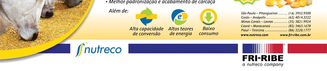 É... Parece que é importante. O que é importante? A situação atual do preço da arroba. Observe os dois gráficos. O de cima engloba todos os preços desde o início do plano Real.