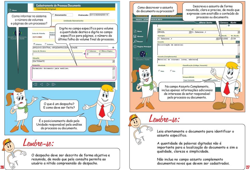 Como descrever o assunto do documento ou processo? Descreva o assunto de forma resumida, clara e precisa, de modo que expresse com exatidão o conteúdo do processo ou documento.