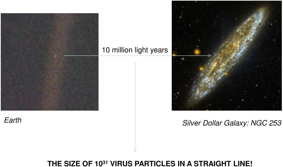 NGC 253 THE SIZE OF 10 31