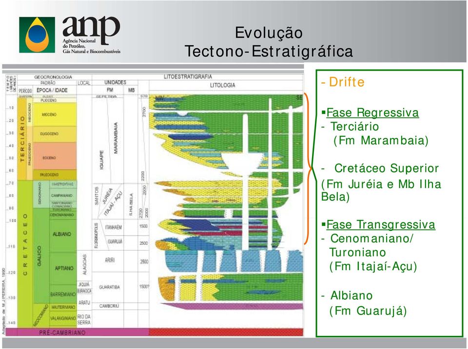 Megassequência Marinha: (Fm Itajaí-Açu) Megassequência Transgressiva (Albiano/Turaniano) plataforma