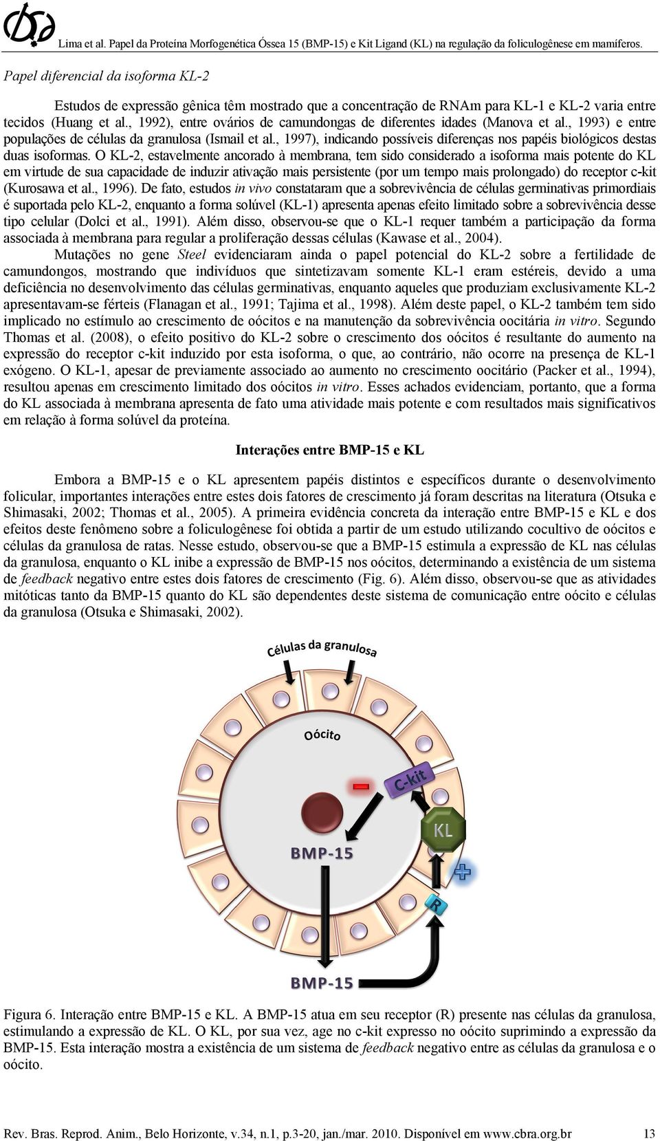 , 1997), indicando possíveis diferenças nos papéis biológicos destas duas isoformas.