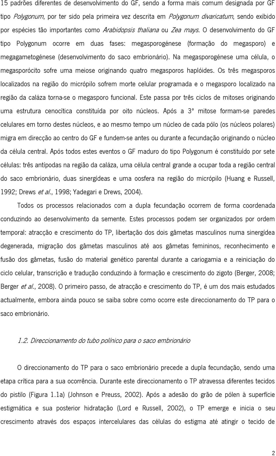 O desenvolvimento do GF tipo Polygonum ocorre em duas fases: megasporogénese (formação do megasporo) e megagametogénese (desenvolvimento do saco embrionário).