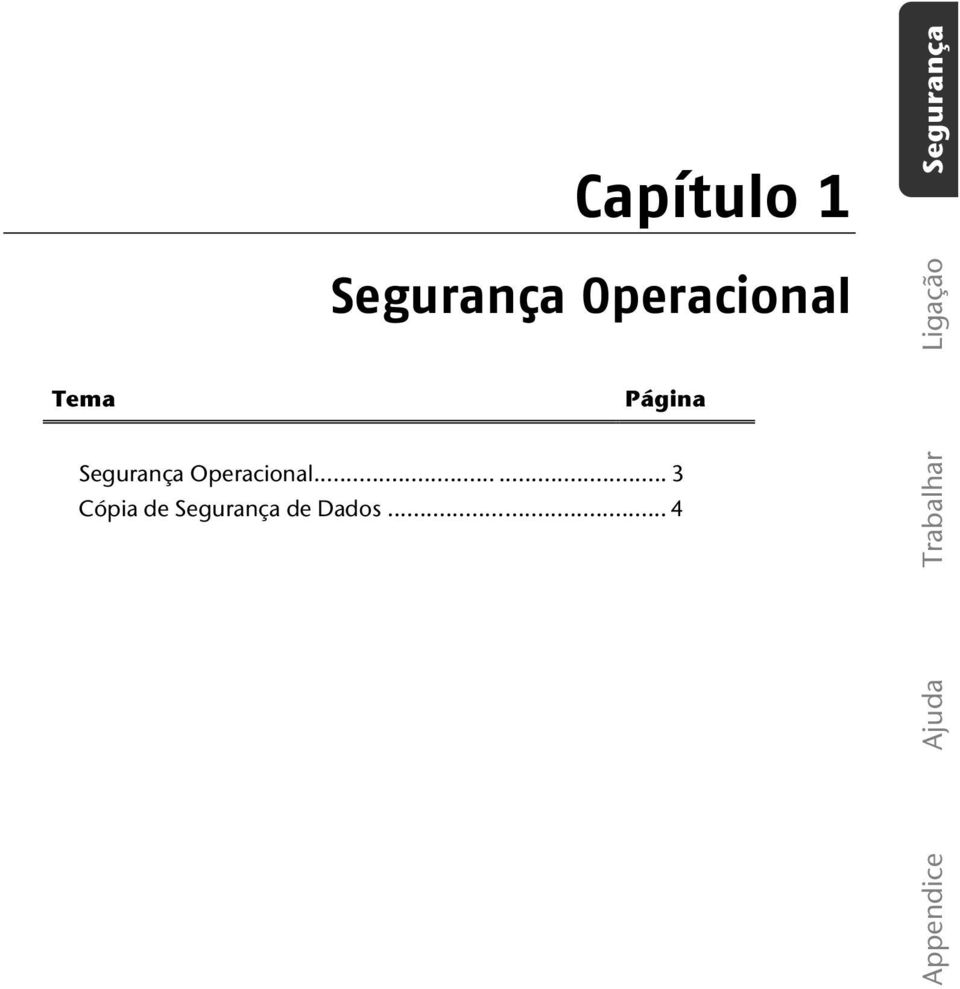 Segurança Operacional.