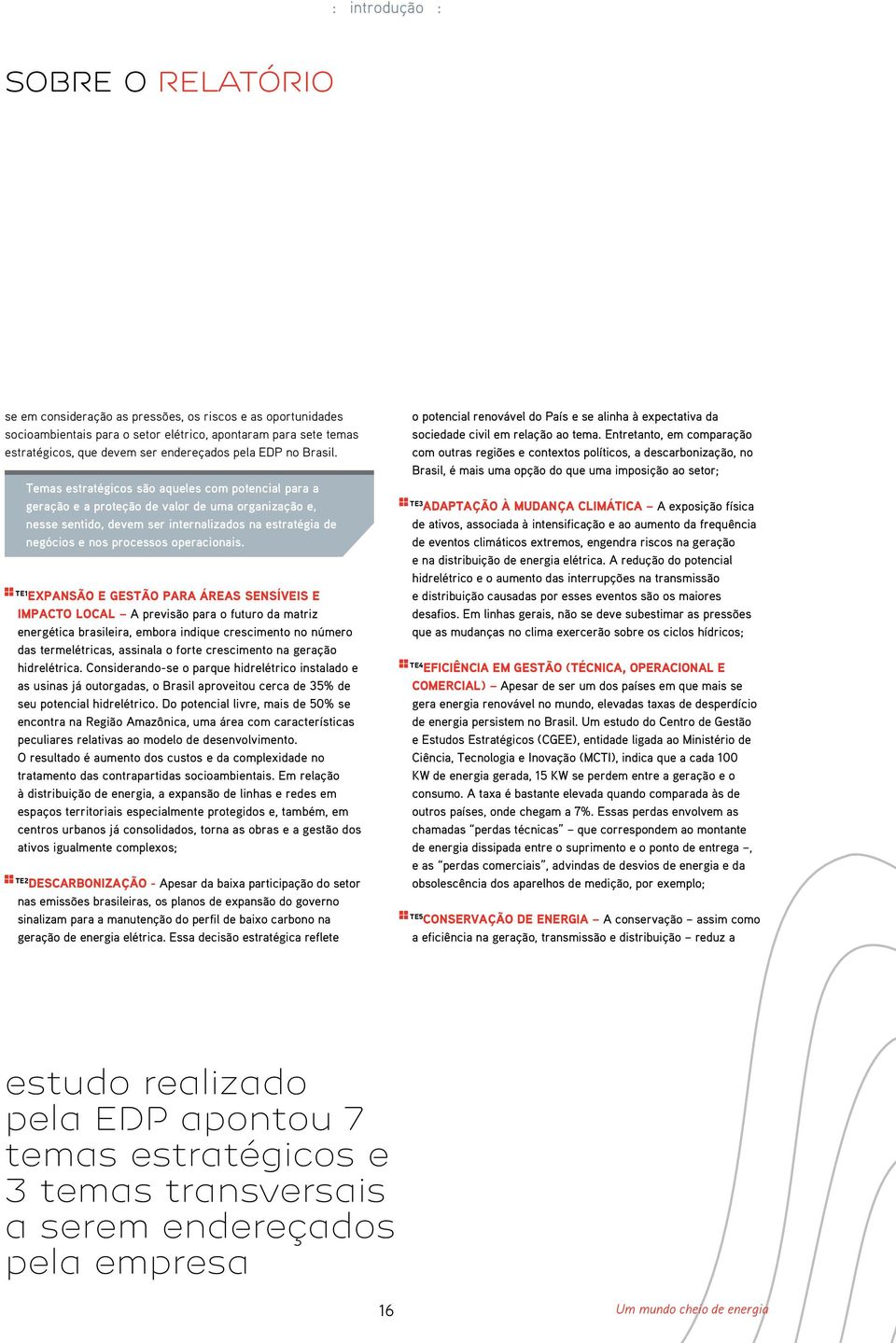 Temas estratégicos são aqueles com potencial para a geração e a proteção de valor de uma organização e, nesse sentido, devem ser internalizados na estratégia de negócios e nos processos operacionais.